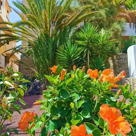 Apartment Rayo San Miguel de Abona